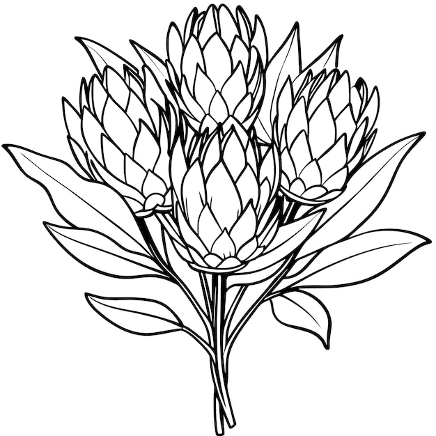 een tekening van een bloem met het woord lotus erop