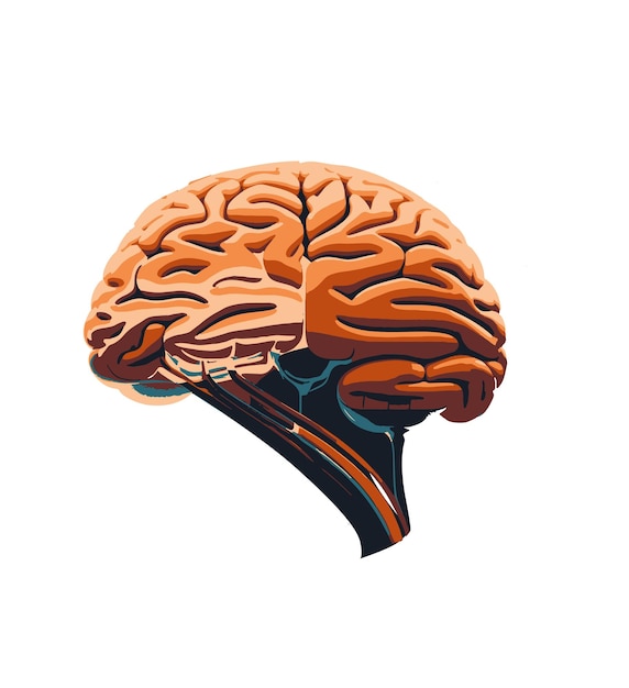 Een tekening van een brein waarbij de linkerbovenhoek de rechterbovenhoek weergeeft.
