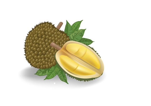 een tekening van een kiwi met bladeren en een houten sticker