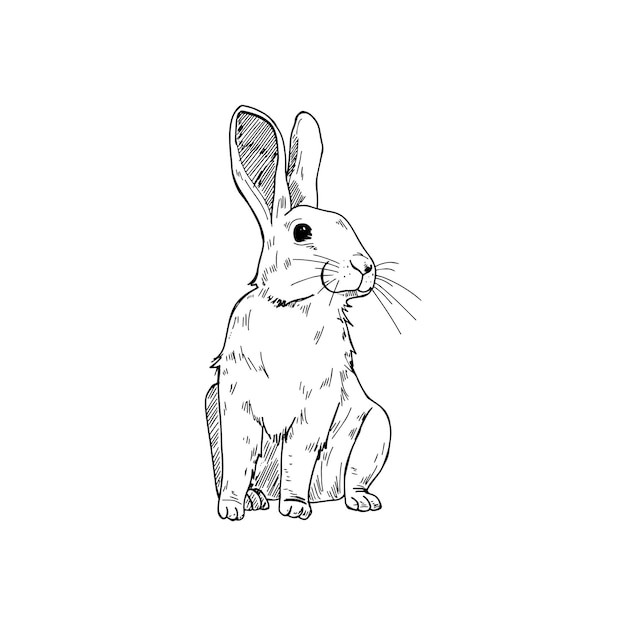 Een tekening van een konijn