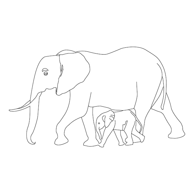 Een tekening van een moederolifant met haar baby.