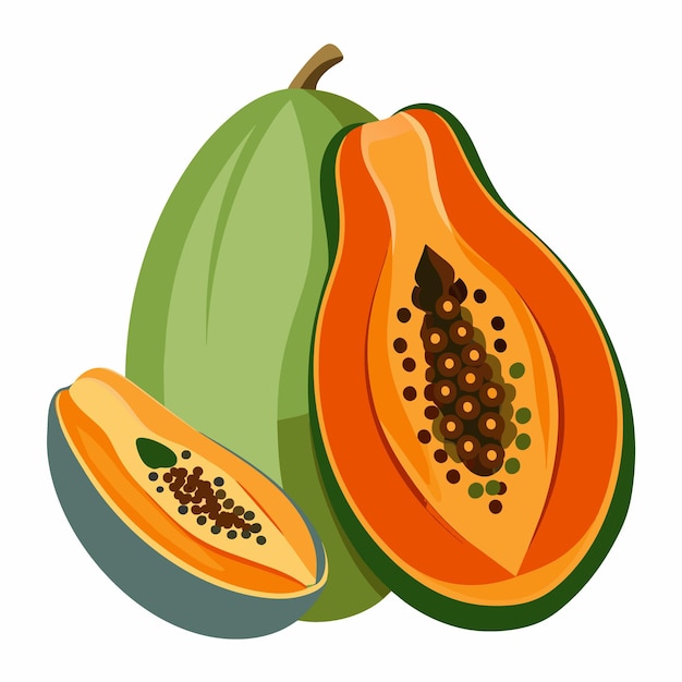 een tekening van een papaya en een halve meloen