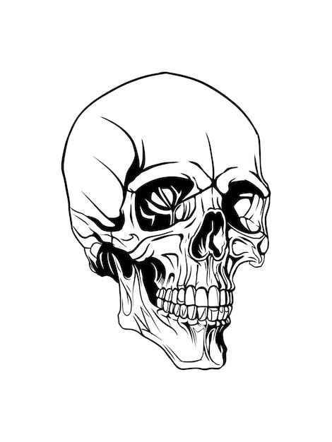 Vector een tekening van een schedel met een zwarte omtrek en een witte achtergrond