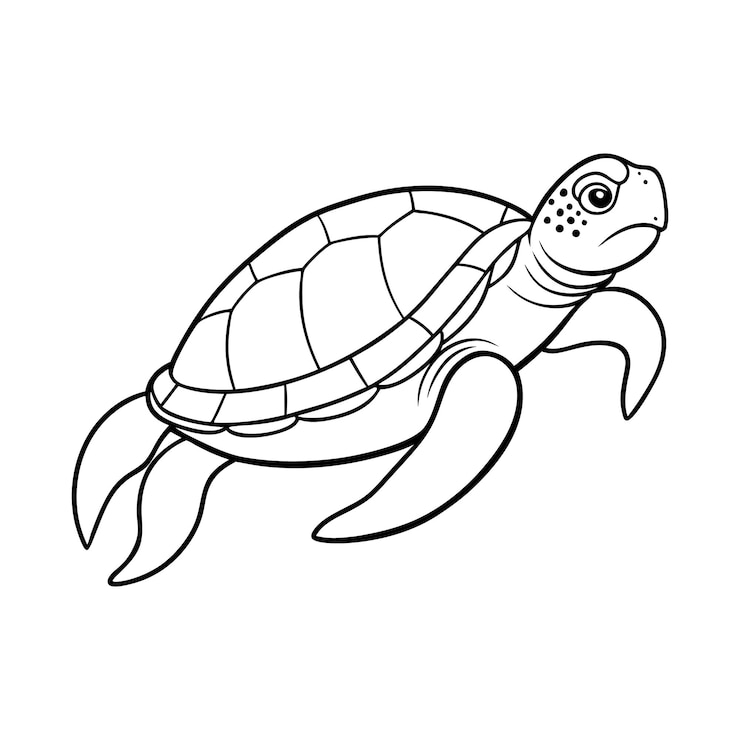 Vector een tekening van een schildpad met een zwarte omtrek en het woord zeeschildpad