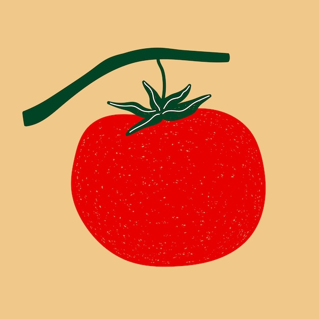 Vector een tekening van een tomaat
