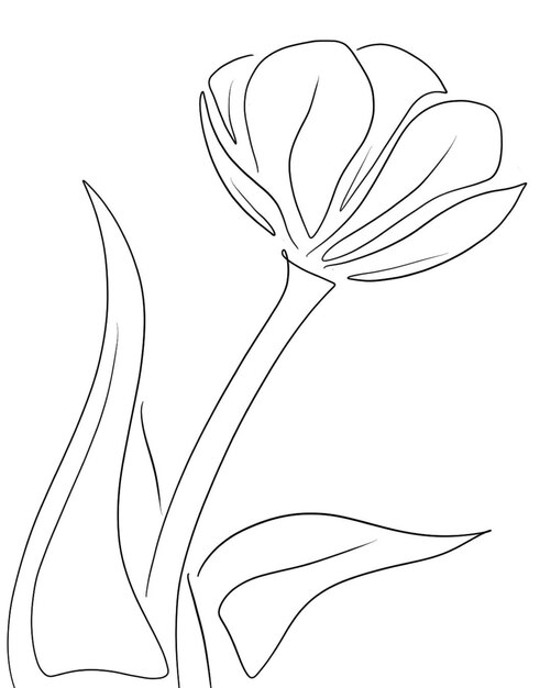 Een tekening van een tulp met de titel 'tulp'