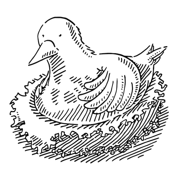 Vector een tekening van een vogel die zwart-wit is