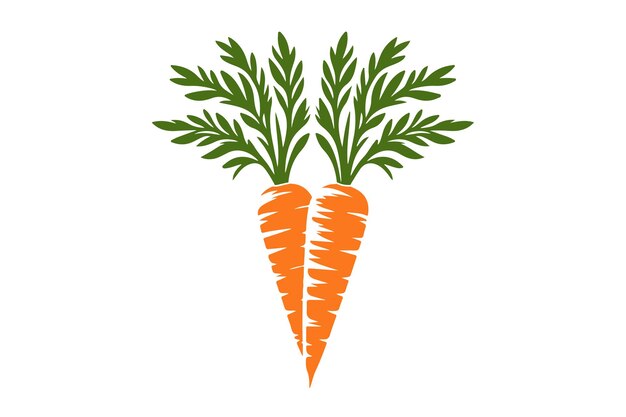 een tekening van wortels met de bovenste helft van de bovenste half van de wortels