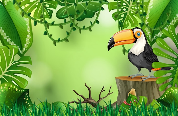 Een toucan in aard groene sjabloon