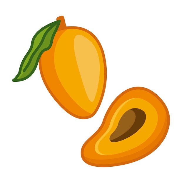 Een tropische mango vrucht in een sectie en een hele vrucht geïsoleerd op een witte achtergrond Vector illustratie