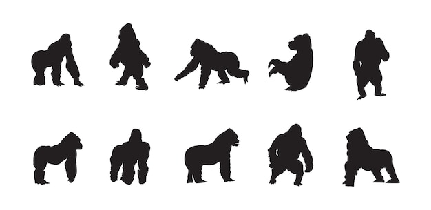 Een vectorsilhouetcollectie van Gorilla's voor kunstwerksamenstellingen.