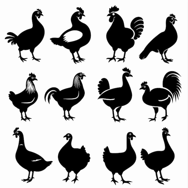 een verzameling beelden van kippen en hanen