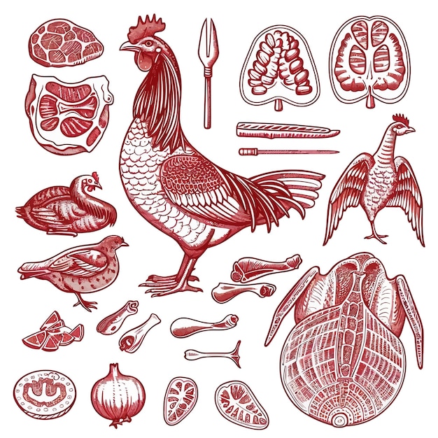 een verzameling beelden van kippen, groenten en vlees