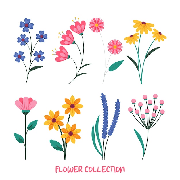 een verzameling bloemen, waaronder een bloem
