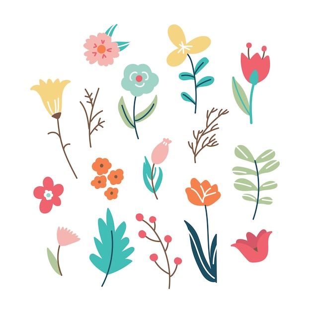 een verzameling bloemen