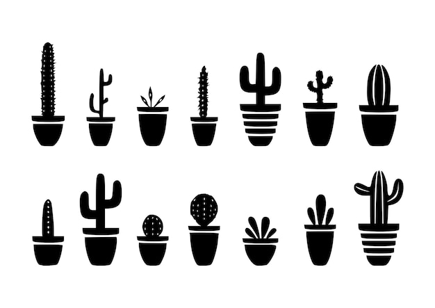 Een verzameling cactuspotten met de woorden " cactus " erop.