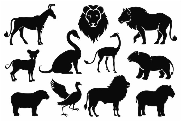 Een verzameling dieren uit het wild op een witte achtergrond.