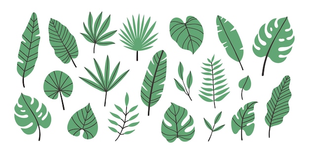 een verzameling groene bladeren en takken met het woord natuurlijk erop
