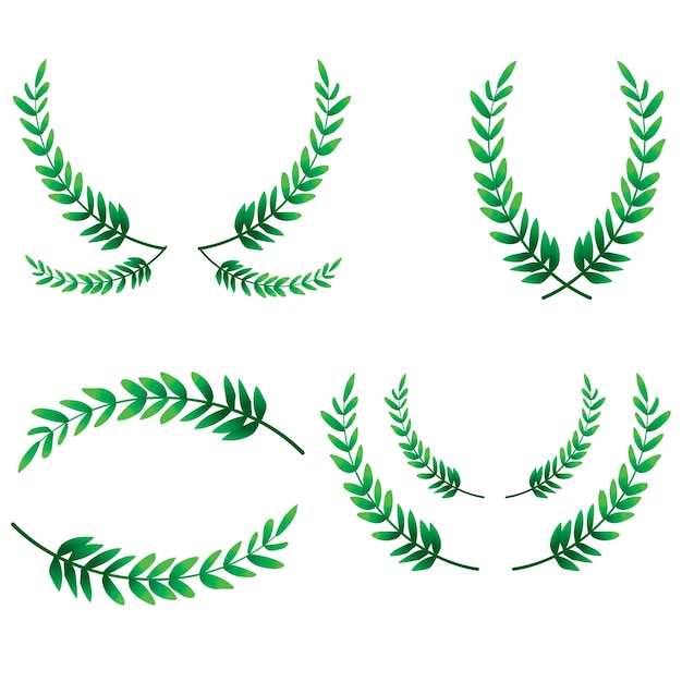 een verzameling groene bladplanten met de letter y erop