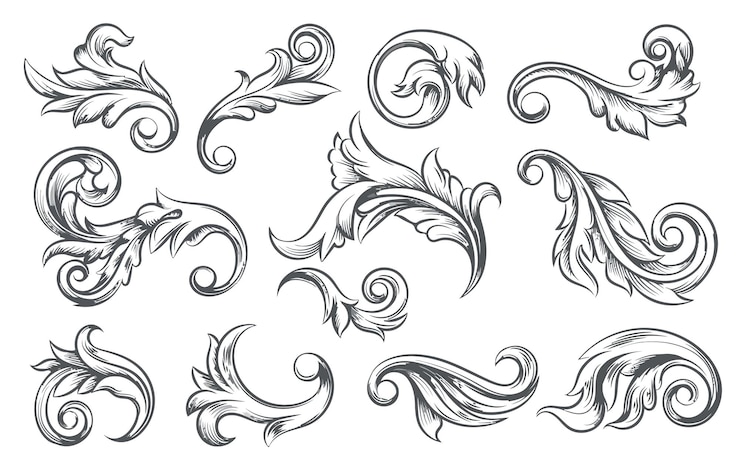Vector een verzameling tekeningen die zeggen barokke scroll elementen monochrome bladeren met spiralen en kunst