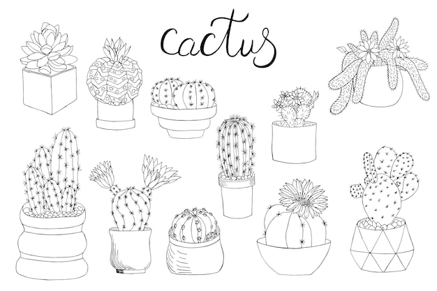 Een verzameling van indoor cactussen en vetplanten De omtrek van de plant is handgetekende in inkt belettering Cactus bloemen doornen bladeren geïsoleerde vectorillustratie om in te kleuren op een witte achtergrond