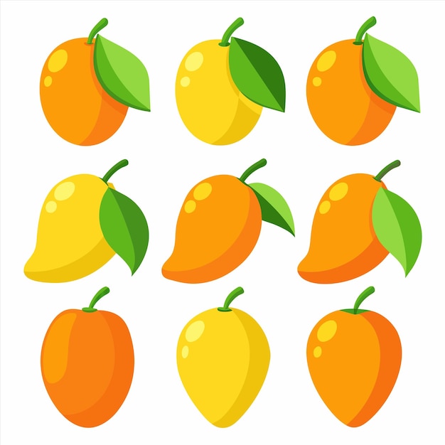 een verzameling vruchten met verschillende kleuren en een foto van hen