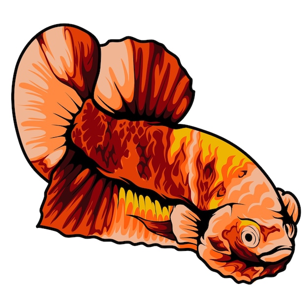 Een vis met een staart met koi-patroon erop