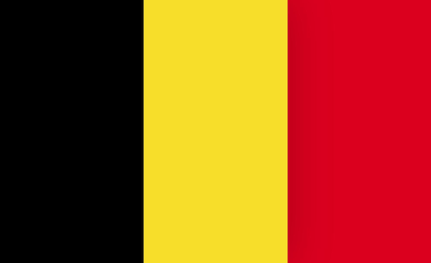 Vector een vlag van belgië