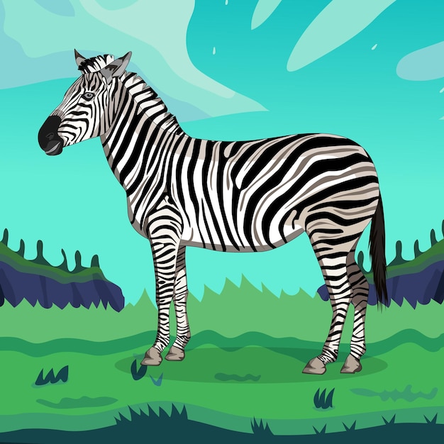 Een zebra staande op een witte achtergrond, vectorillustratie