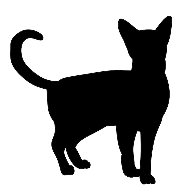 Vector een zwart kattensilhouet met het woord kat erop.