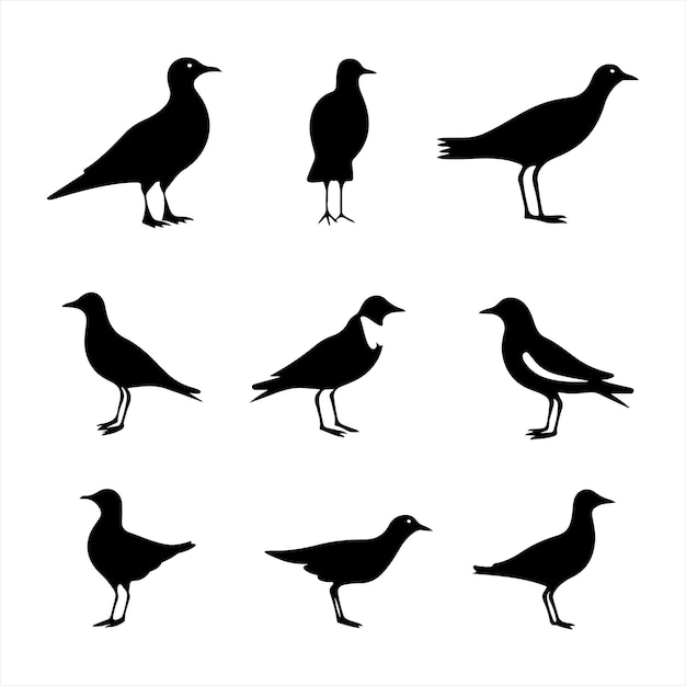 Een zwart silhouet Gull vogel set