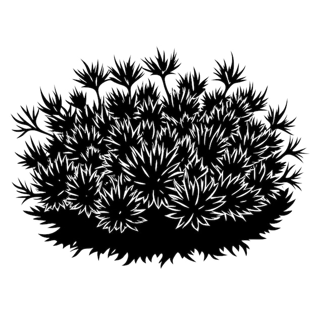 Een zwart-wit beeld van een zwart-witte plant met de woorden quote the black and white quote