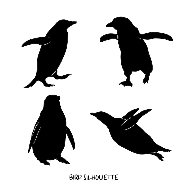 een zwart-wit beeld van pinguïn en pinguïn