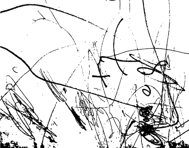 Een zwart-wit tekening van een spin op een witte achtergrond.