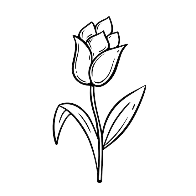 Een zwart-wit tekening van een tulpenbloem.