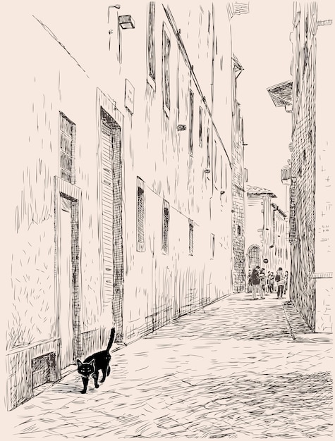Een zwarte kat loopt in de oude stad