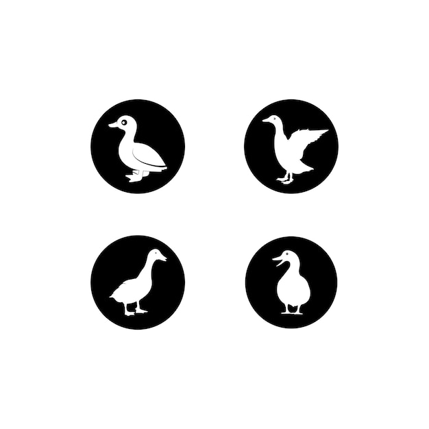 Eend pictogram