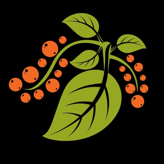 Eenvoudig groen vectorboomblad met ranken en oranje zaden, gestileerd natuurelement. Ecologie symbool, kan worden gebruikt in grafisch ontwerp. Zomer of lente seizoen illustratie