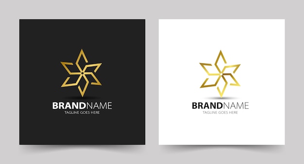 Eenvoudig letter sss-monogram luxe logo-ontwerp Met stervorm