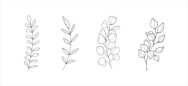 Eenvoudige botanische illustraties lijntekeningen minimale ontwerpelementen elegante plantenkunst