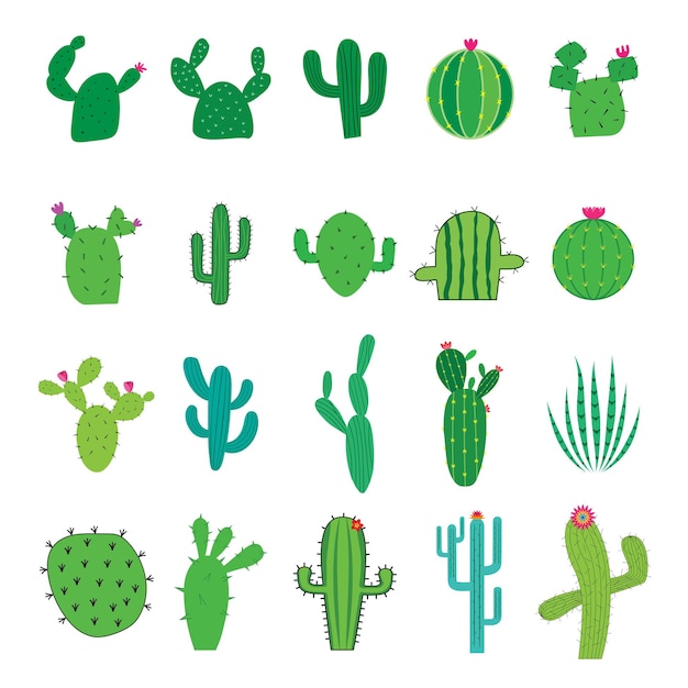 Vector eenvoudige cactus