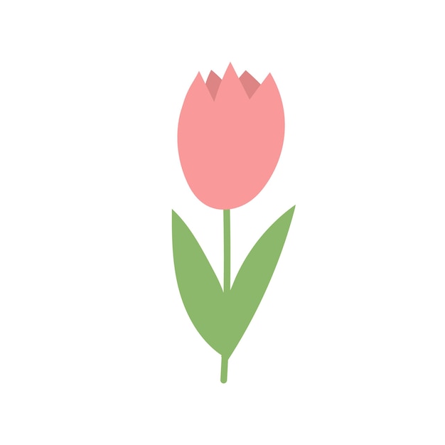 Eenvoudige cartoon pictogram op witte achtergrond - tulp bloeit. 8 maart