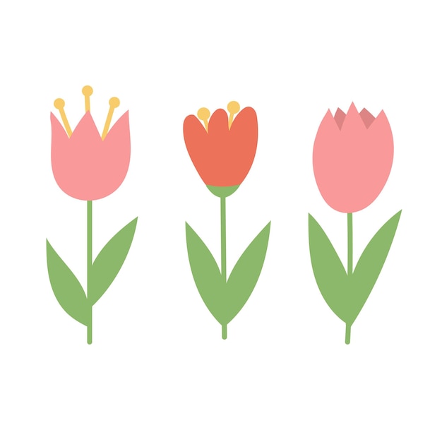 Eenvoudige cartoon pictogrammen op witte achtergrond tulp bloeit maart