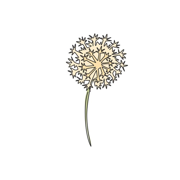 Vector eenvoudige continue lijntekening taraxacum muurdecoratie kunst decoratieve paardenbloem ontwerp vector