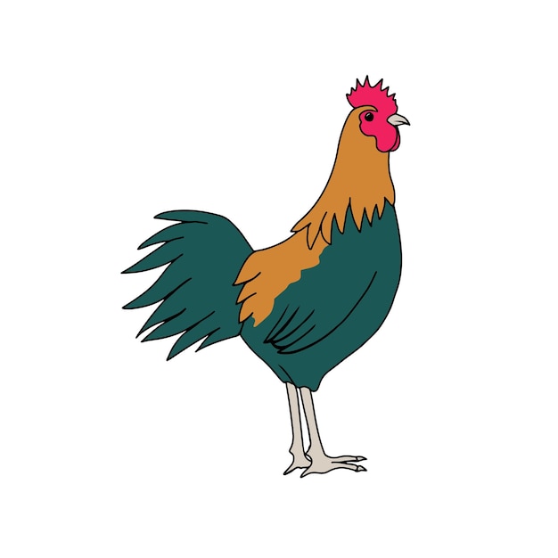 Eenvoudige gekleurde illustratie van een haan