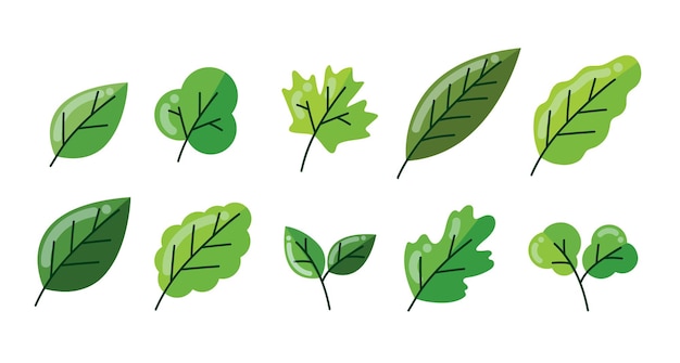 eenvoudige groene bladeren elementen vector illustratie