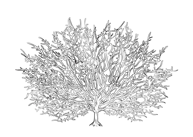 Eenvoudige hand getekende boom schets. Boom van het leven. Vectorillustratie. Vectorillustratie.