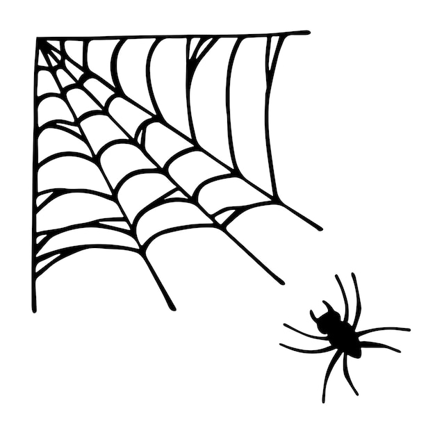 Eenvoudige handgetekende spinnenwebillustratie Leuke ragfijne clipart Halloween doodle