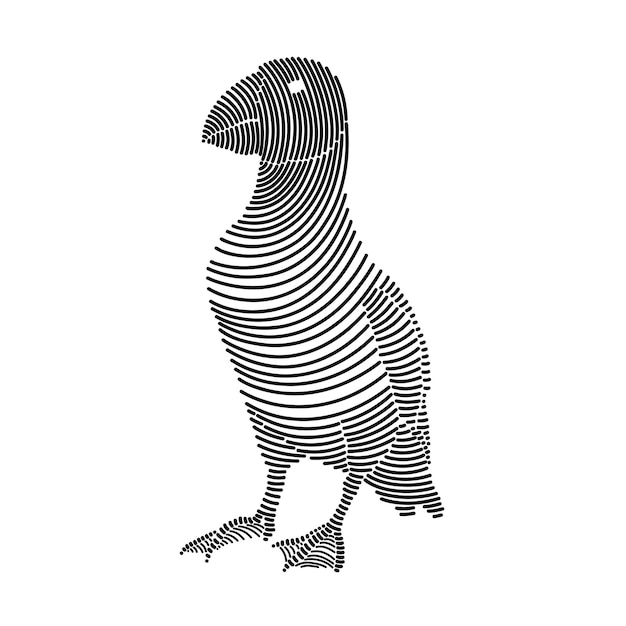 Eenvoudige lijnkunstillustratie van een Atlantische papegaai 2