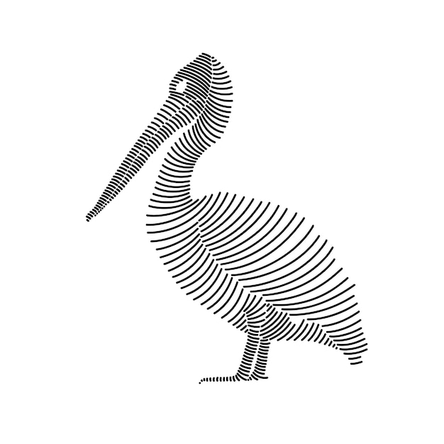 Eenvoudige lijnkunstillustratie van een pelikaan 2